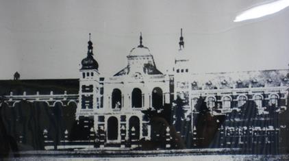 utvIMG_5337